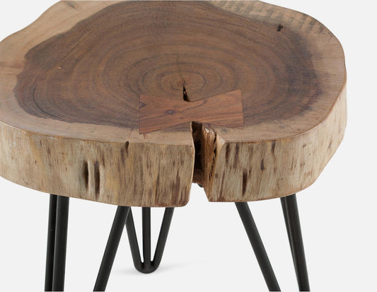 Holz Chunky Live Edge End Table